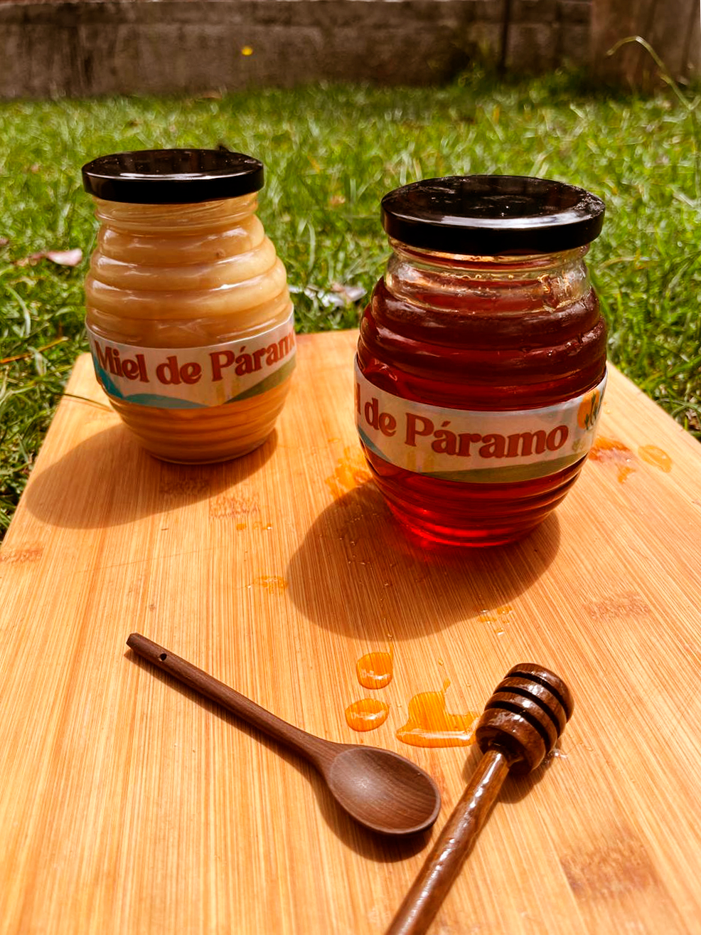 Miel de paramo